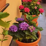 La Casa Di Lucy Cosy דירה *
