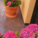 La Casa Di Lucy Cosy דירה מונטרוסו אל מארה