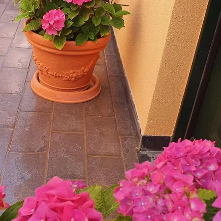 La Casa Di Lucy Cosy Appartamento Monterosso al Mare